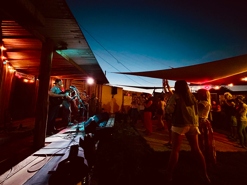 Ditch Cat - Live Music & Solstice Party