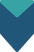 shield (1).png