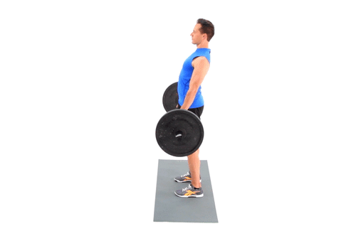 Barbell-Deadlift-back-exercise.gif