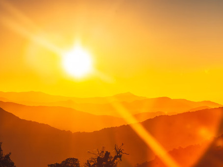 Content For Your Summer Digital Signage Is Here!