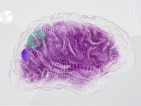 Applying Neuroaesthetics to Digital Signage Design!