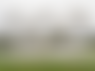 7 Digital Signage Content Ideas during the 2024 Olympics