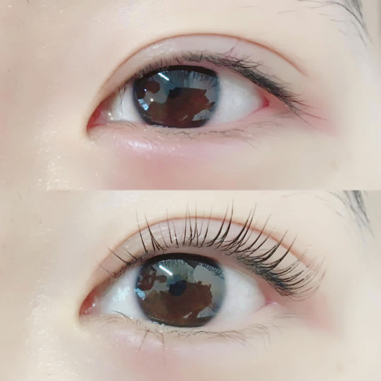 Korea Keratin Lash Lifting