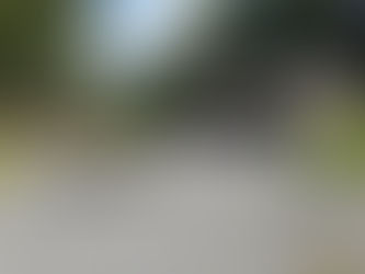 Det utrolige har skjedd