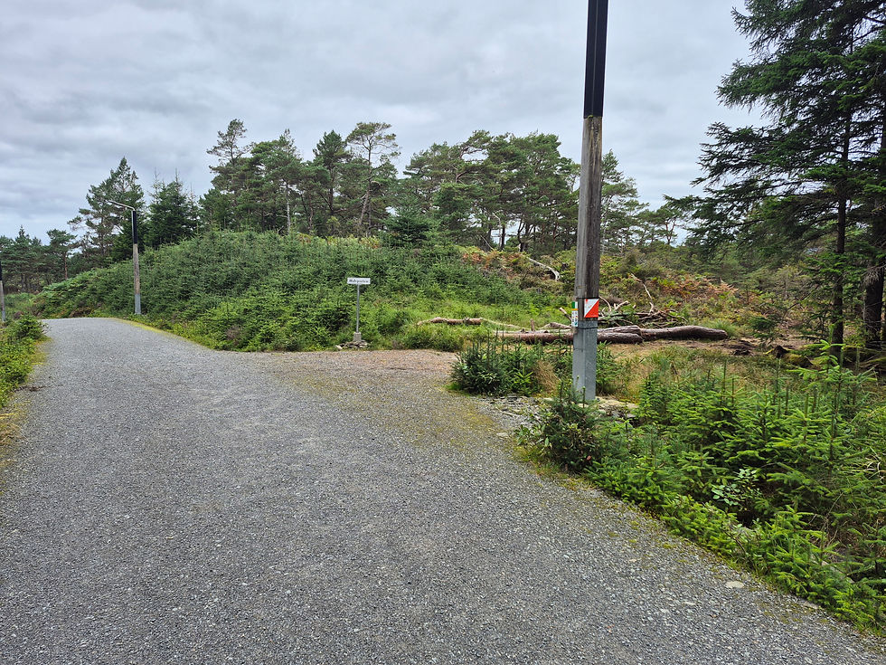Inngang fra øvre vegen med Kjerringahaugen i bakgrunnen