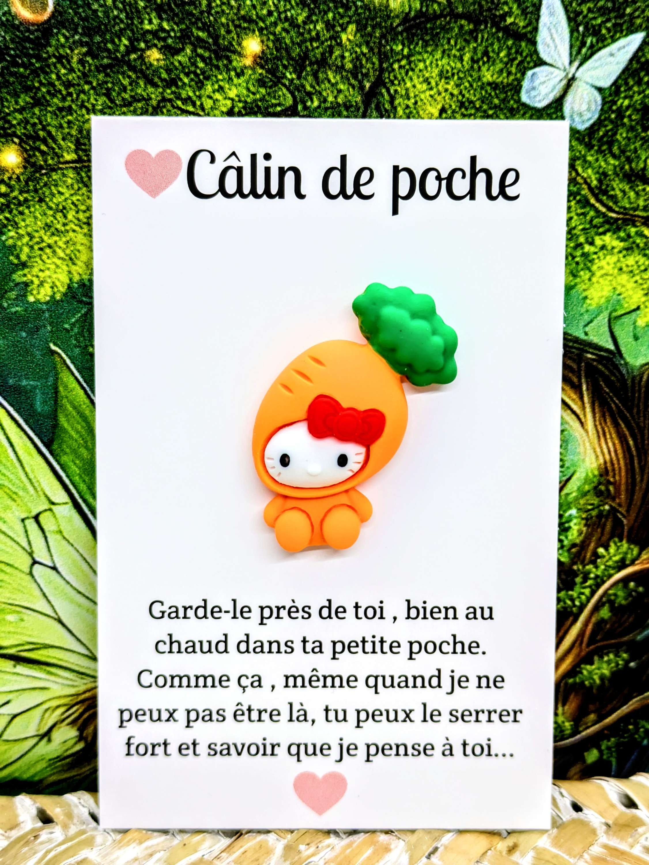 Câlin de poche