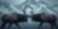 Two big deer that are in fighting position with interlocking horns set in a beautiful moun