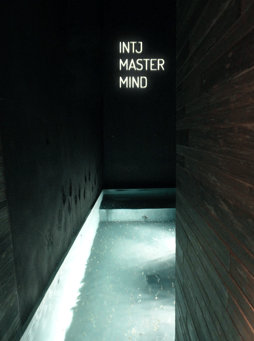 INTJ Mastermind