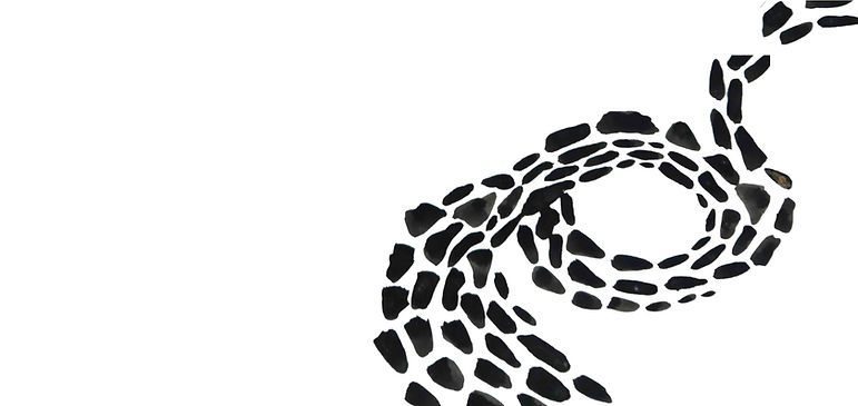 20250112_154331 copy_edited.jpg