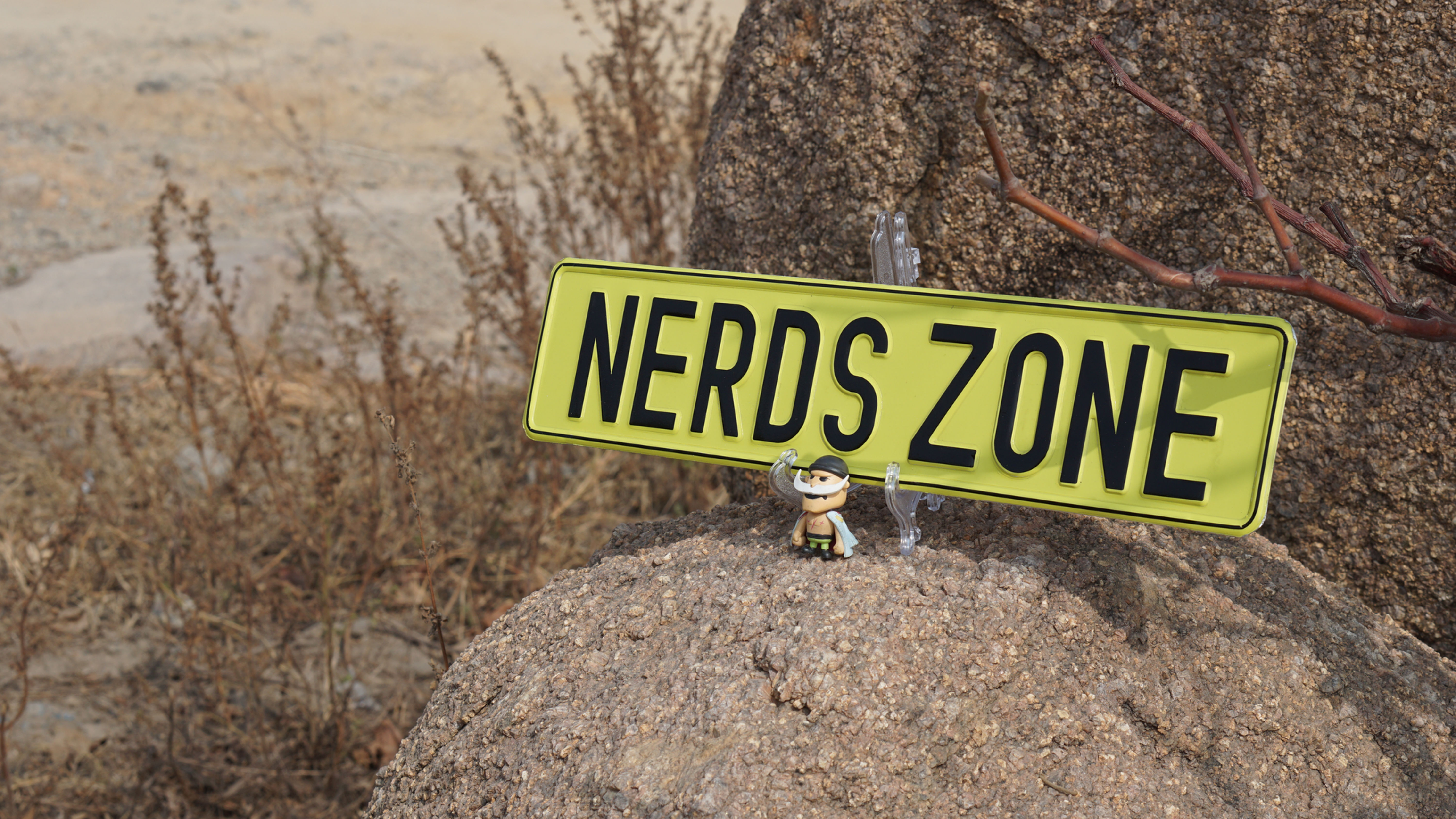 Nerds Zone Nameplate