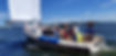 20190127_110642.jpg