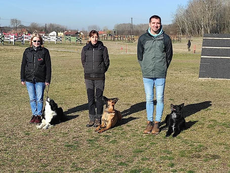 Obedience vizsga