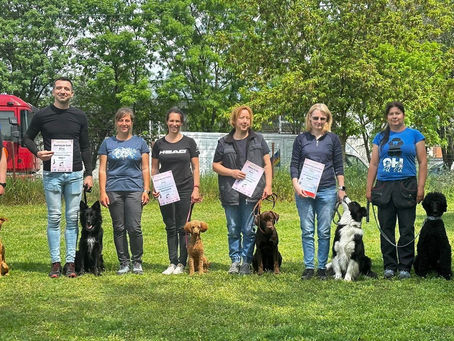 Obedience vizsga