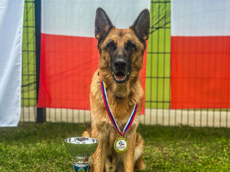 Német Juhászkutya Világbajnokság 🏆