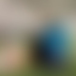 Karácsonyi DSP verseny