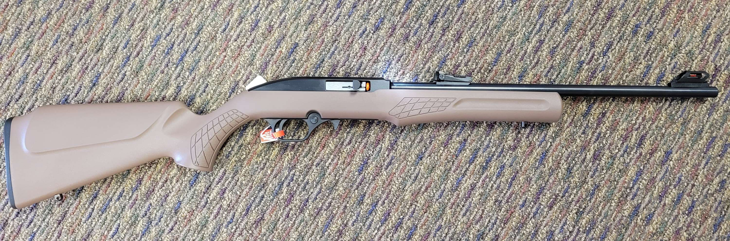 Rossi 22 Longrifle 