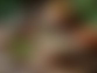 Traditional Chinese Medicine