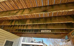 Wood(Before).jpeg