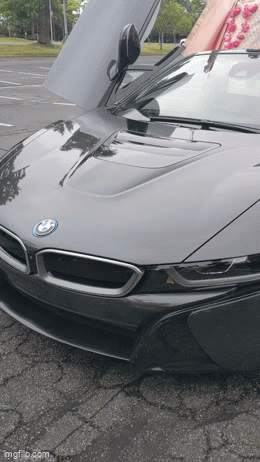 Zenith Wedding 3.gif