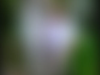 Tournois d’échecs, champions légendaires et clubs emblématiques : l’univers fascinant des 64 cases