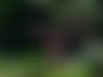 L'impact du metal dans la sculpture contemporaine