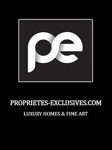        ARSON: Renommierter Partner eines kunstoffenen Luxusimmobilienportals.           