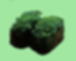 GUNKAN WAKAME