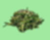WAKAME