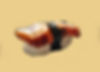 UNAGI NIGIRI