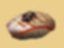 FLAMBIERTE TUNA NIGIRI