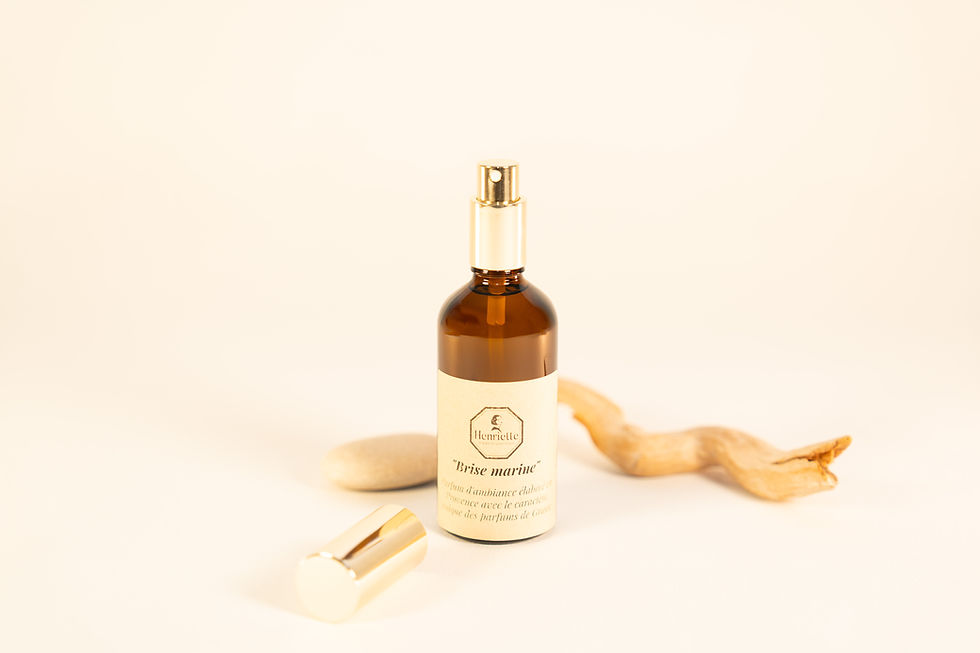 Spray d'ambiance Brise Marine 100 ml