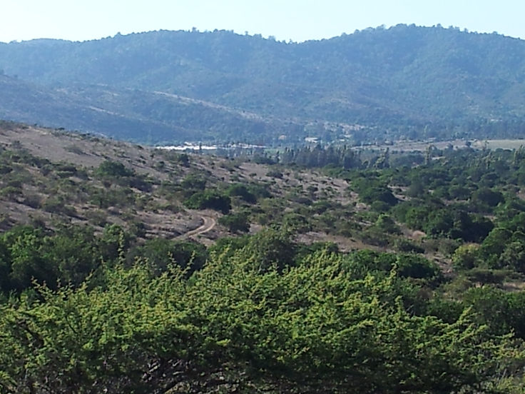 2013 02 20 Paisaje sector La Maravilla 4.jpg