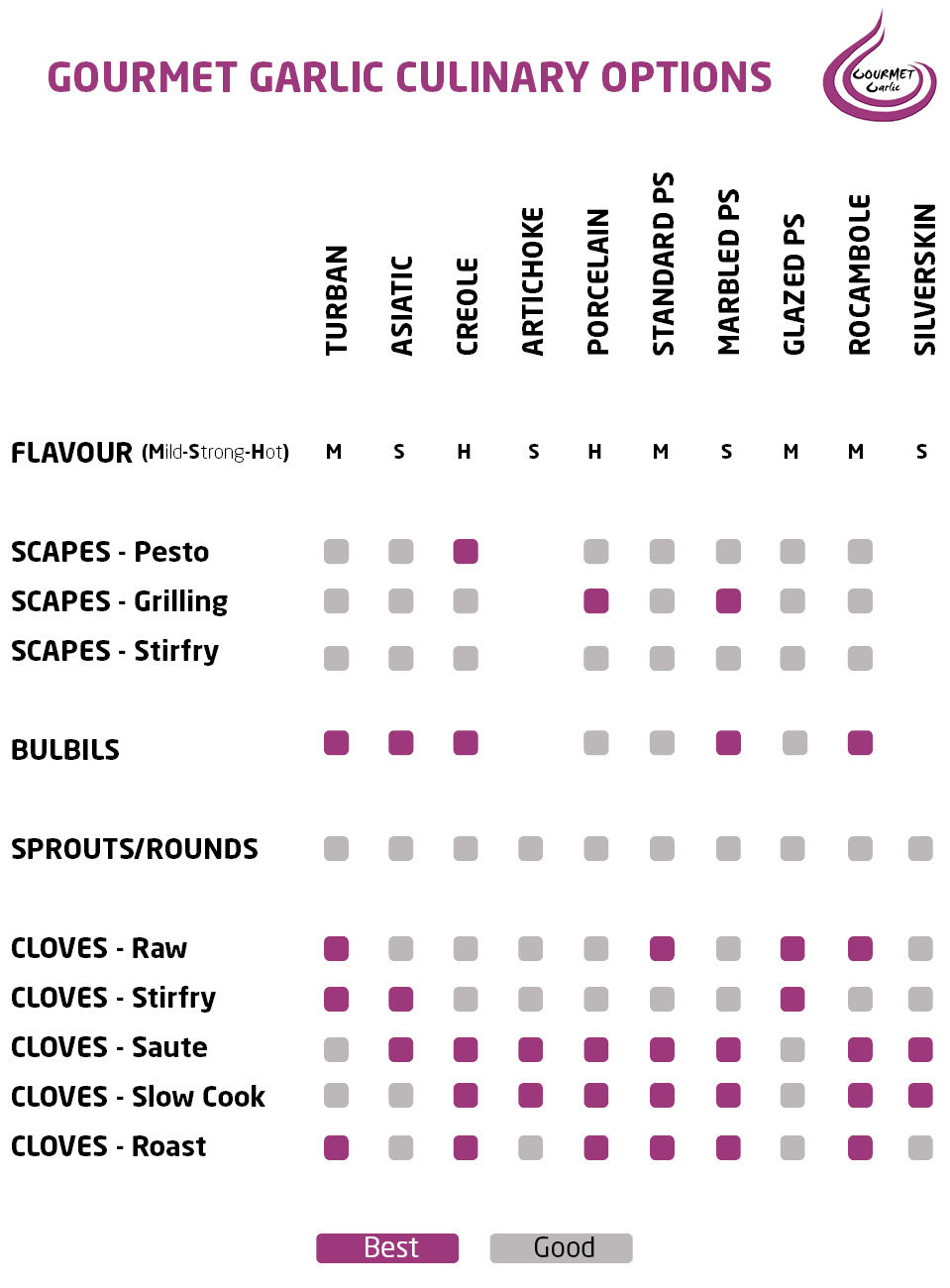 Culinary Garlic Chart