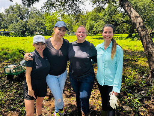 Serving Texas Families in Need — No Red Tape, Just Action