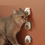 Miniatura: Bichinhos de Brinquedo para Gatos com Catnip Erva Gato Natural - STORE