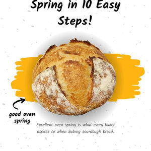 Sourdough Bread Promotional Images