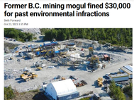 Former B.C. mining mogul fined $30,000 for past environmental infractions