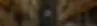 90d4e0_125e43ec19c24aa1b056e432f5e0f236~mv2.webp