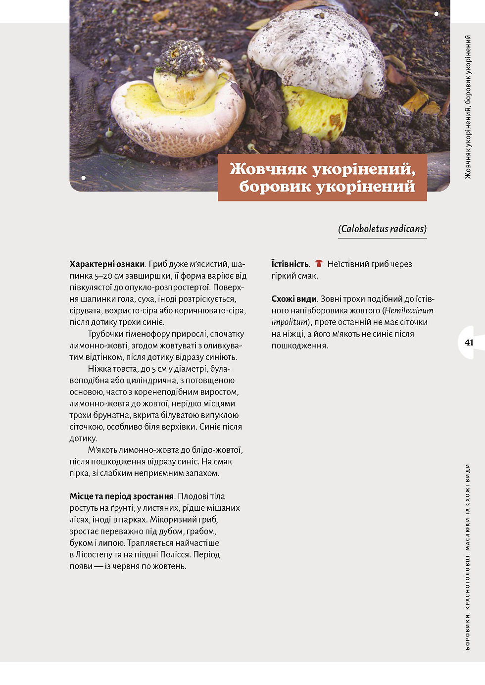 Прев'ю: Микола Придюк «Як і де збирати гриби» Е-книжка