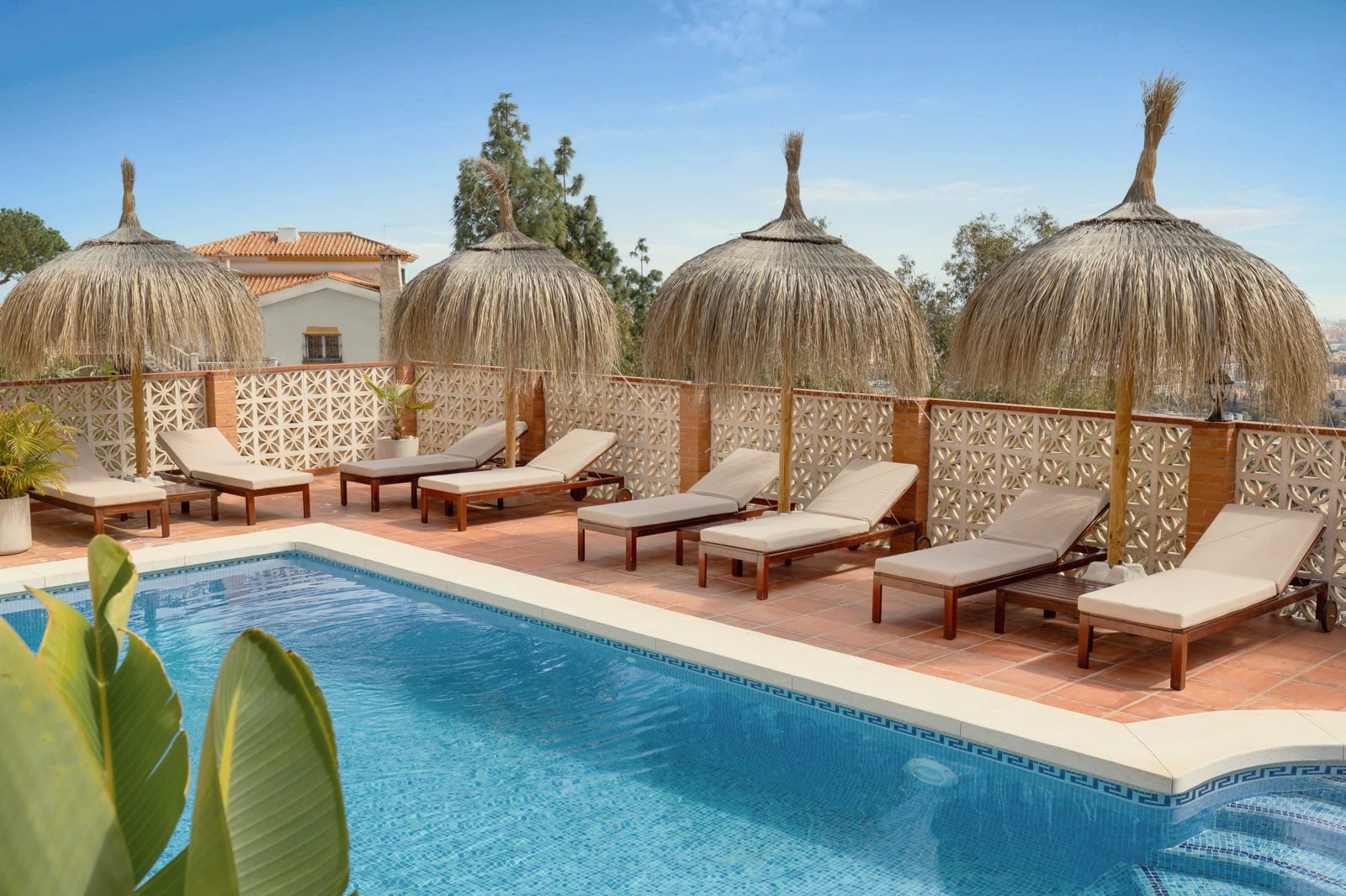 Private pool with sun loungers and straw parasols at Villa Botánica