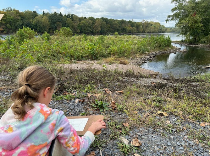 plein air.jpg