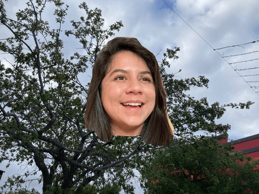 So Tree GIF.gif