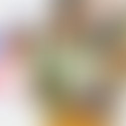 Premio Sebrae mulheres de negócio