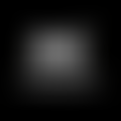 ブログも始めちゃいました。