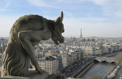 gargola-catedral-notre-dame.jpg