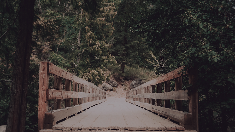 Growing with the Gospel Bridge