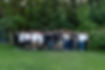 csapat.jpg
