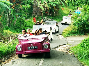 Ubud-VW-Tour-1.jpeg