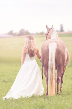 Horse bridal gown bride