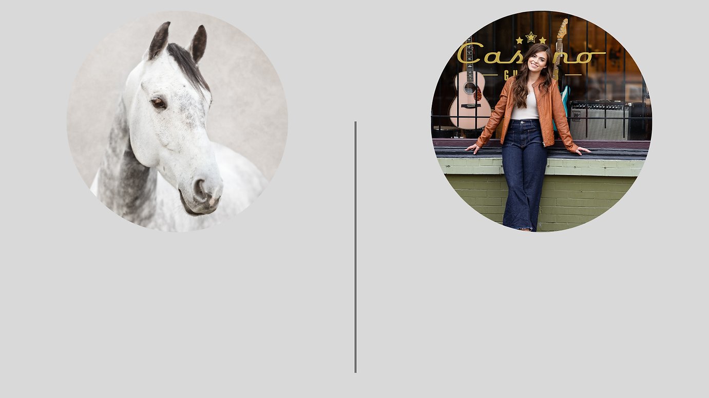 Pricing list for Makana Photography, a Southern Pines, Aberdeen, Sanford, Pinehurst pet (horses, cats and dogs) photography studio and senior photographer. Showing a fine art image of a bray horse and a senior picture of a girl in front of Casino Guitars